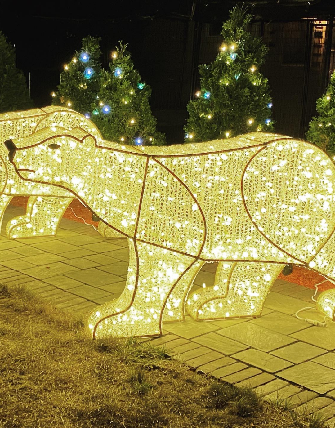 Waterfront 3D Polar Bear