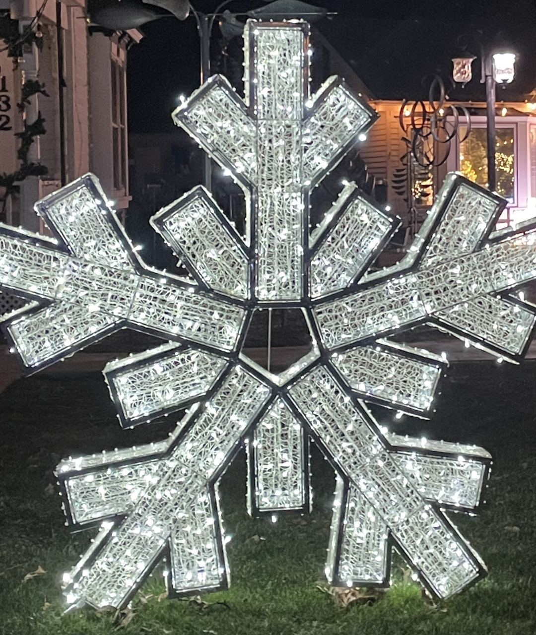 Waterfront Snowflake