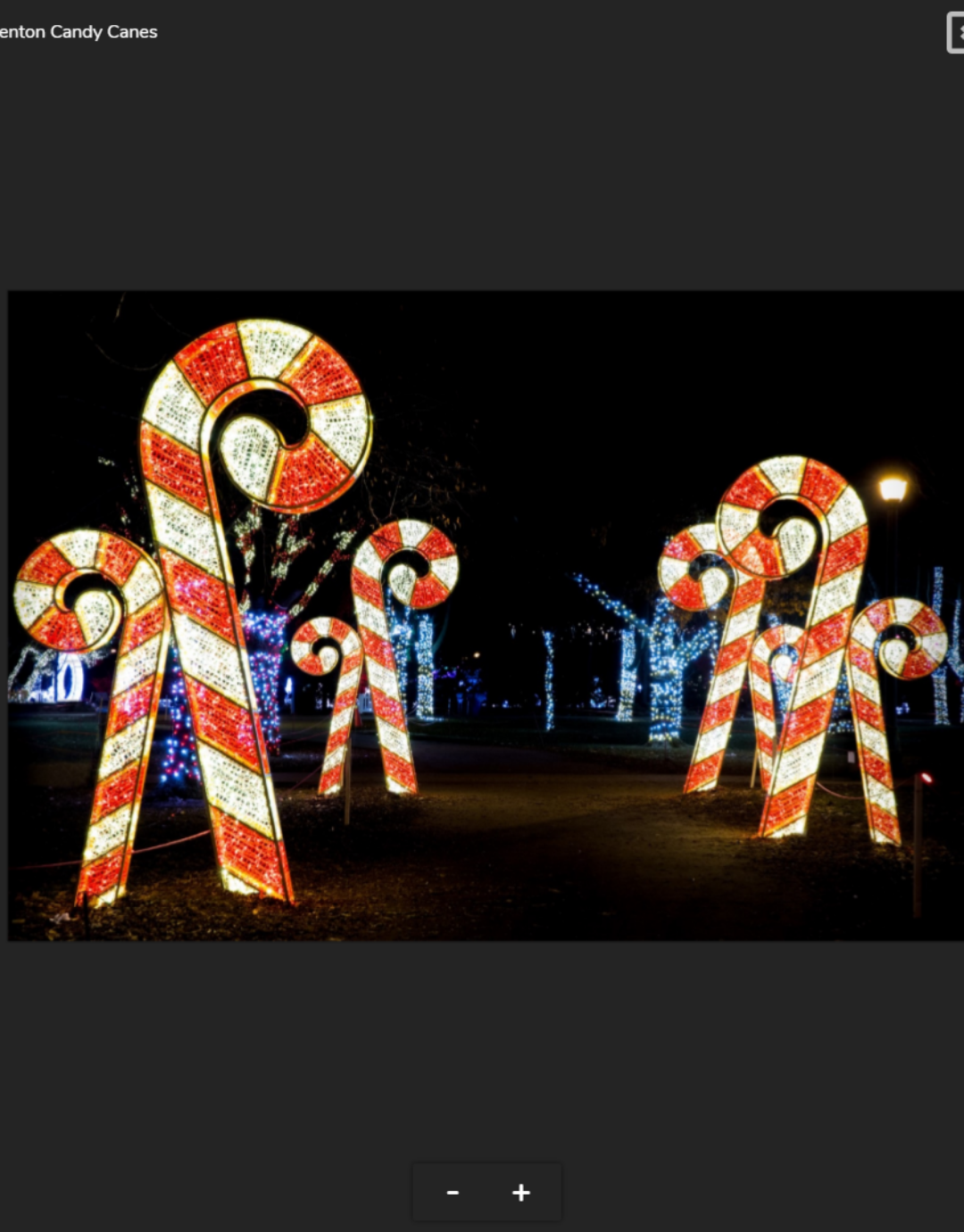 Waterfront Candy Cane Set
