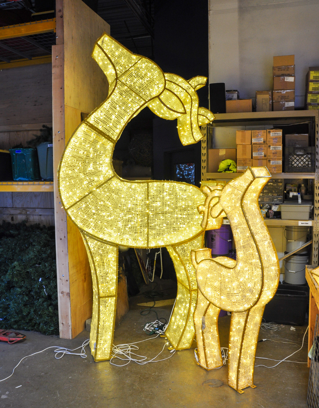 Waterfront 3D Deer