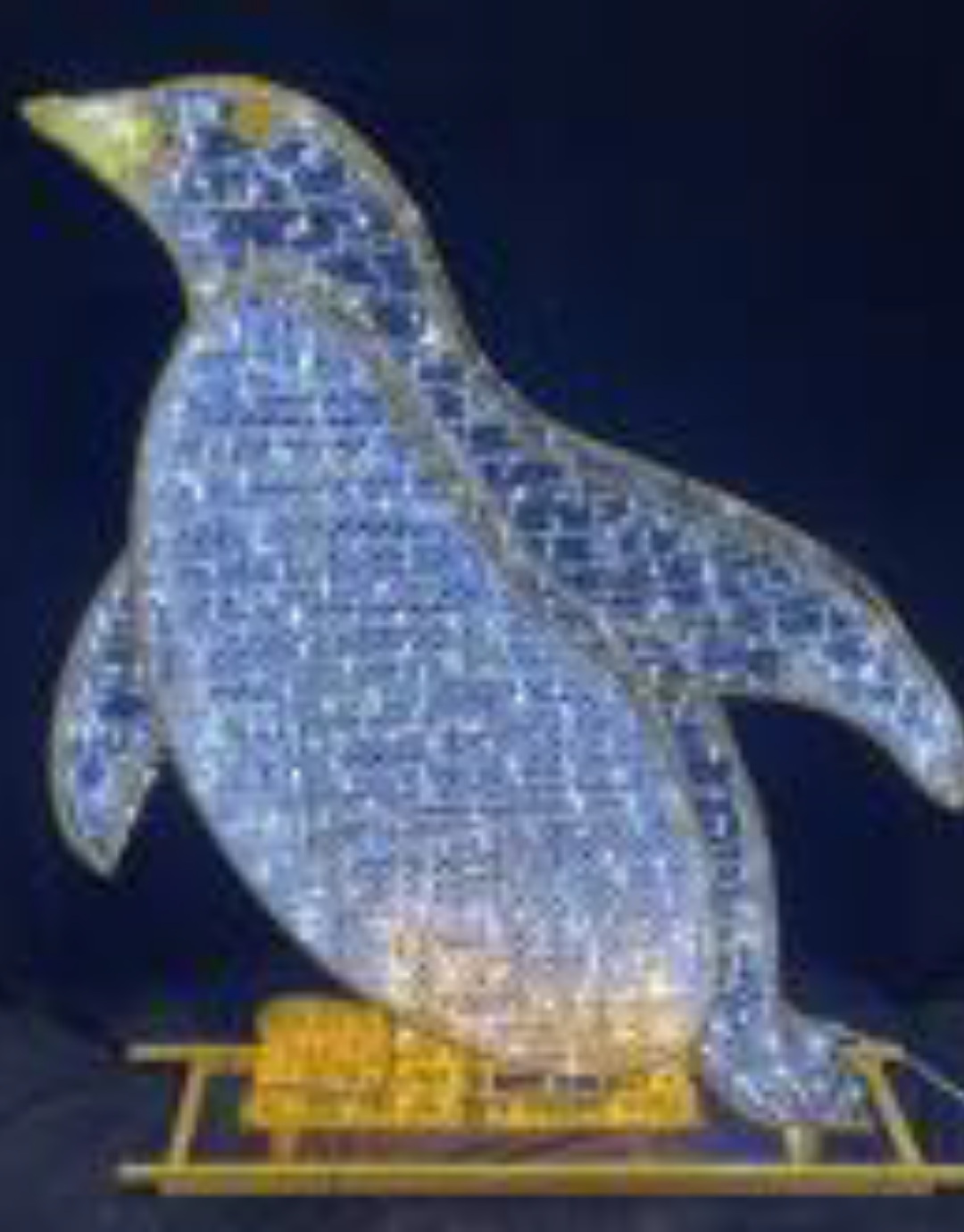 3D Penguin