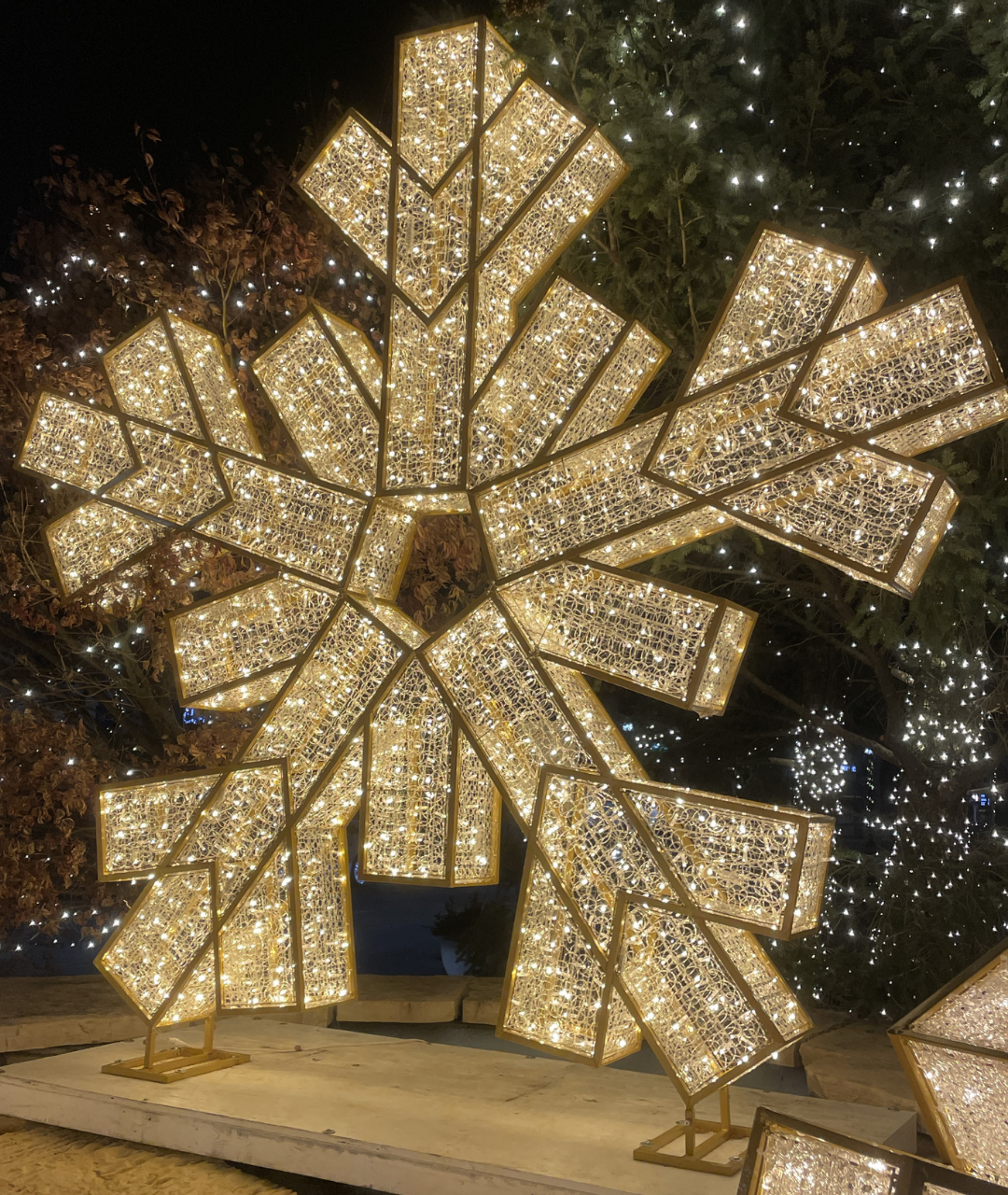 Waterfront Snowflake