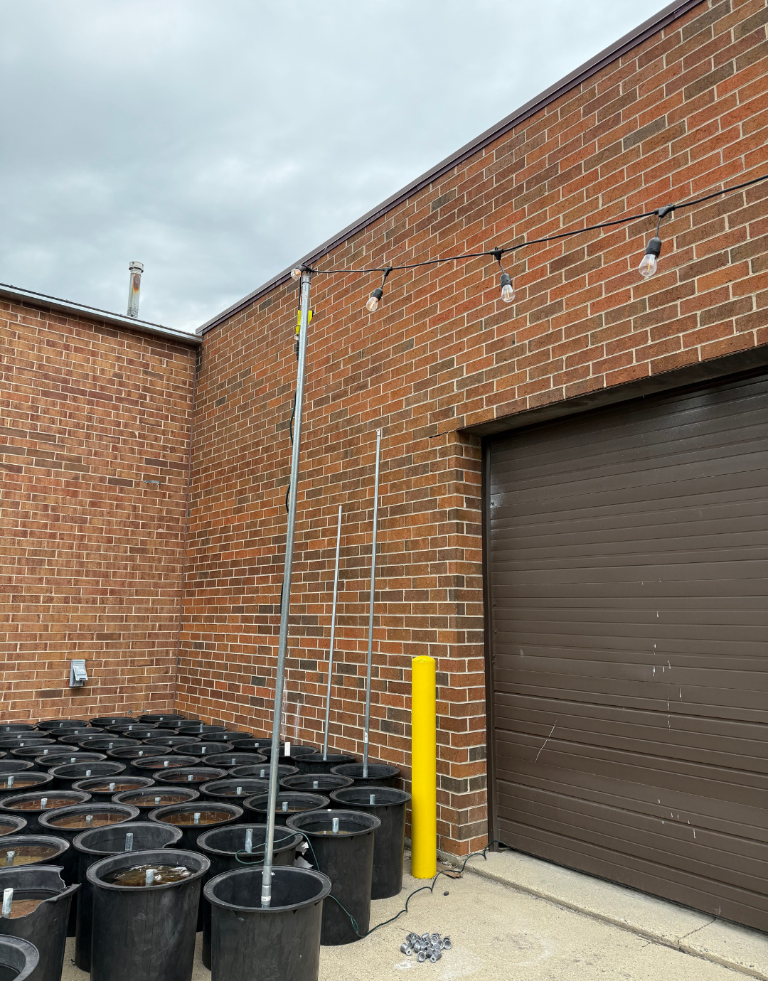 Used - Bistro Lights pole & base combo