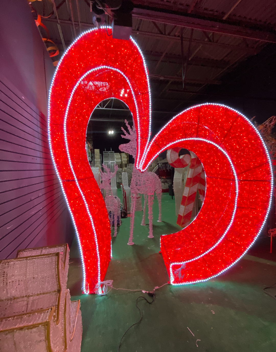 Walk-Thru Heart 3D