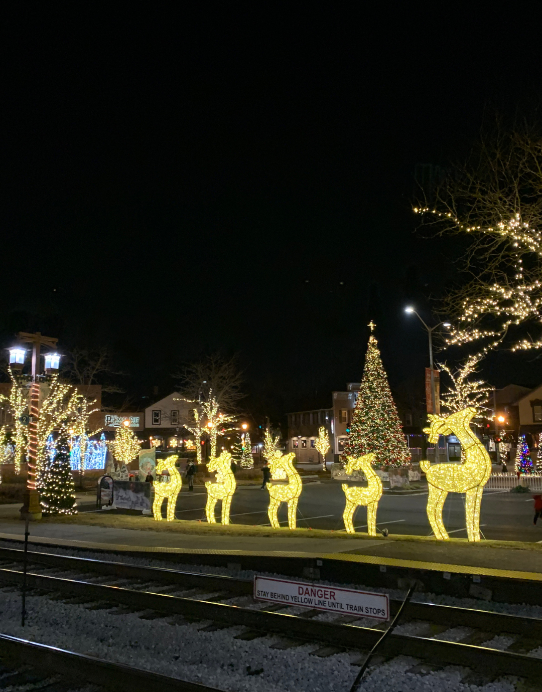 Waterfront 3D Deer