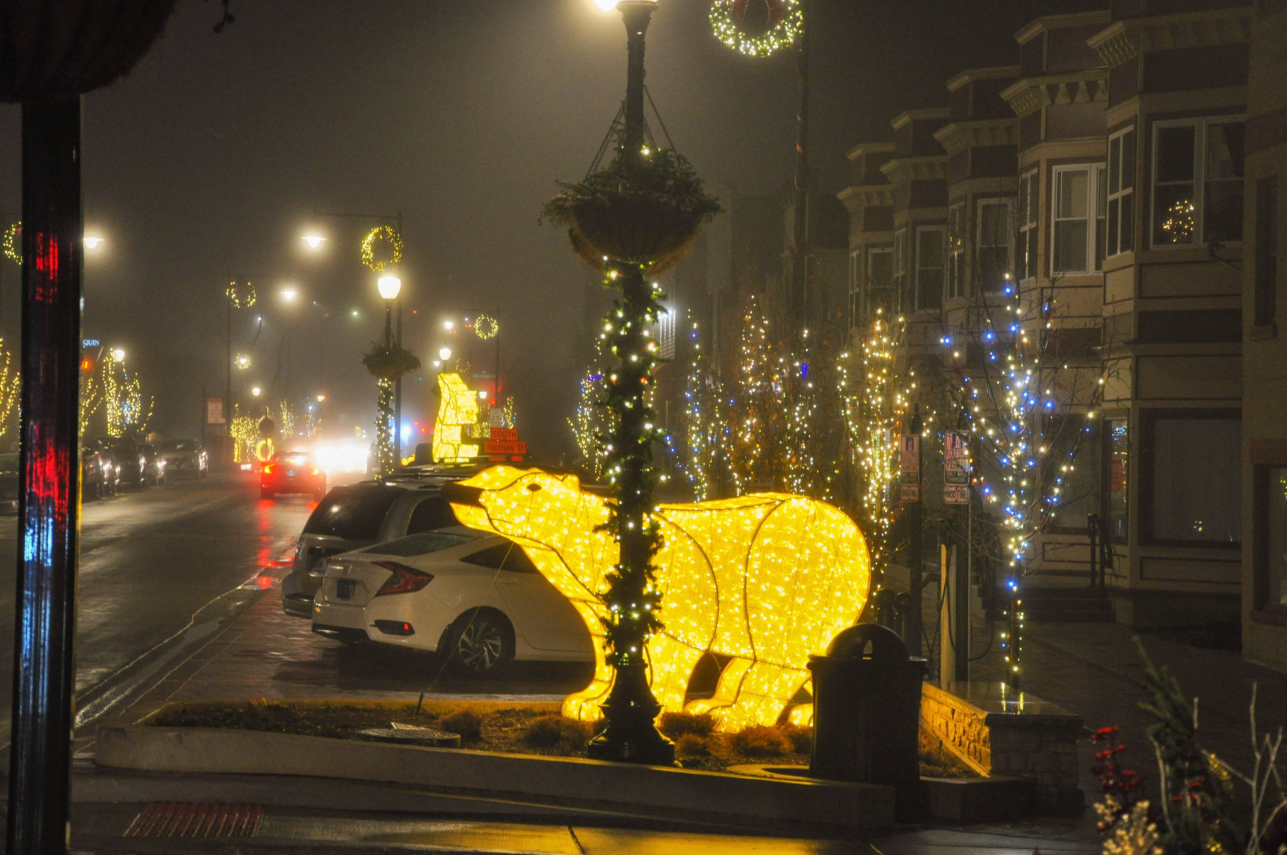 Waterfront 3D Polar Bear