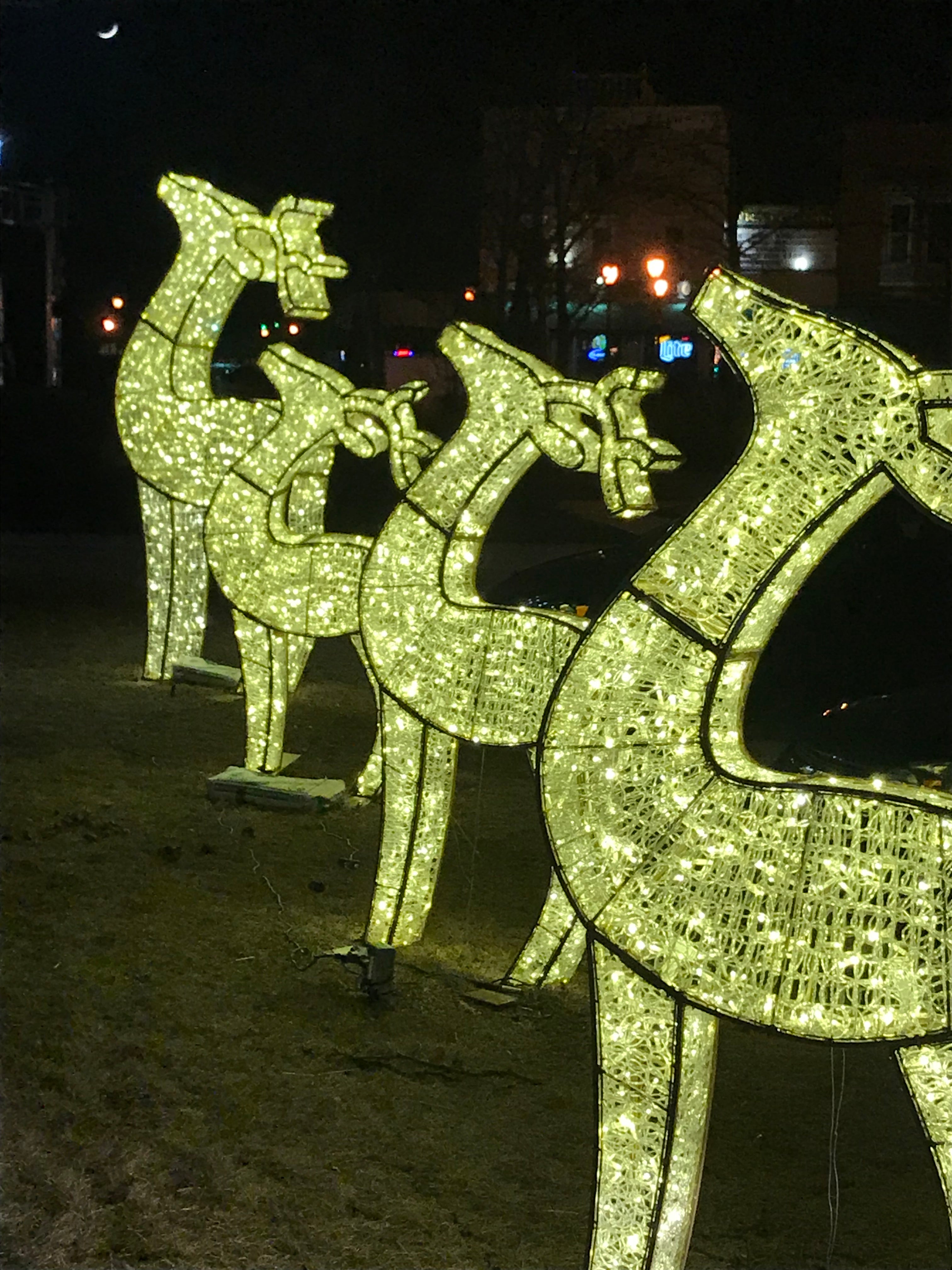 Waterfront 3D Deer