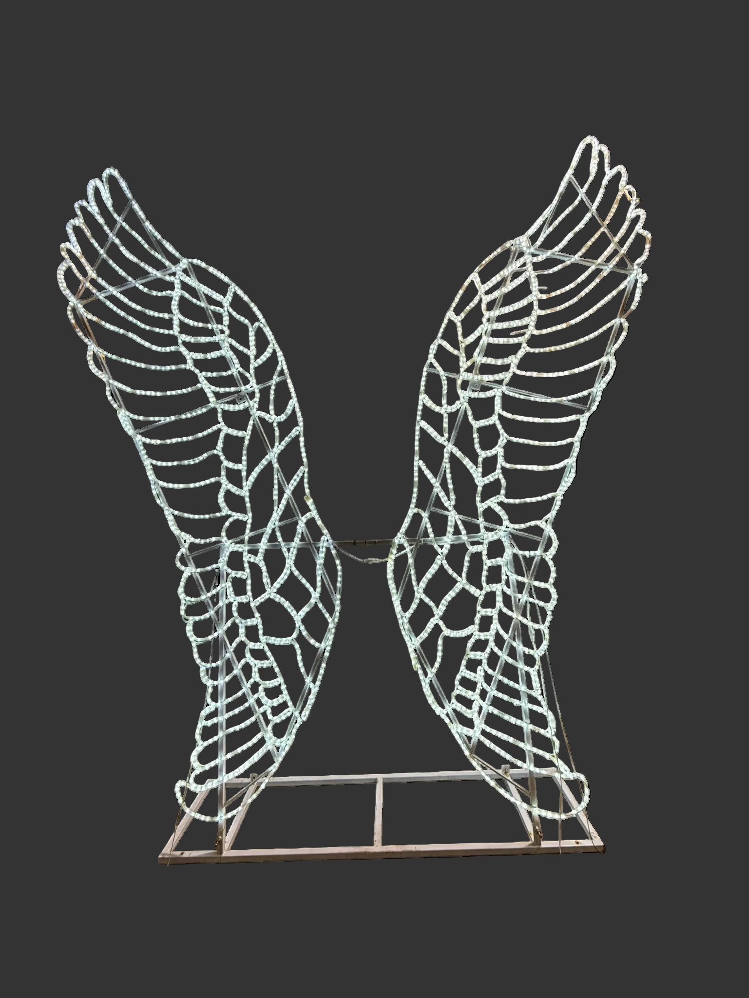 12ft Angel Wings Photo Op