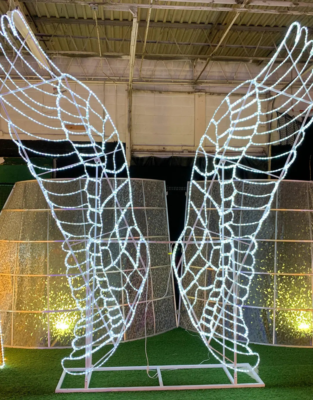 Angel Wings