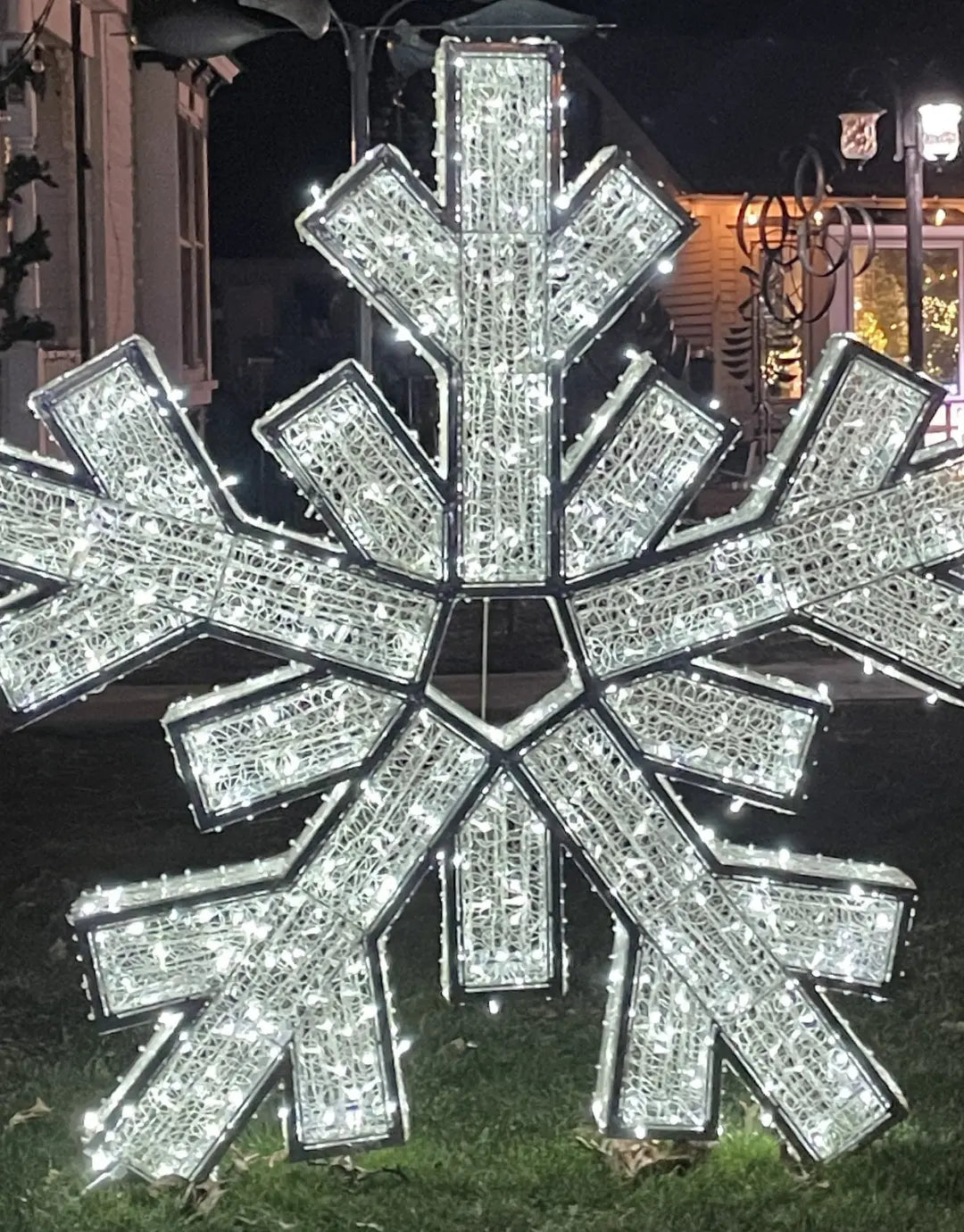 Waterfront Snowflake