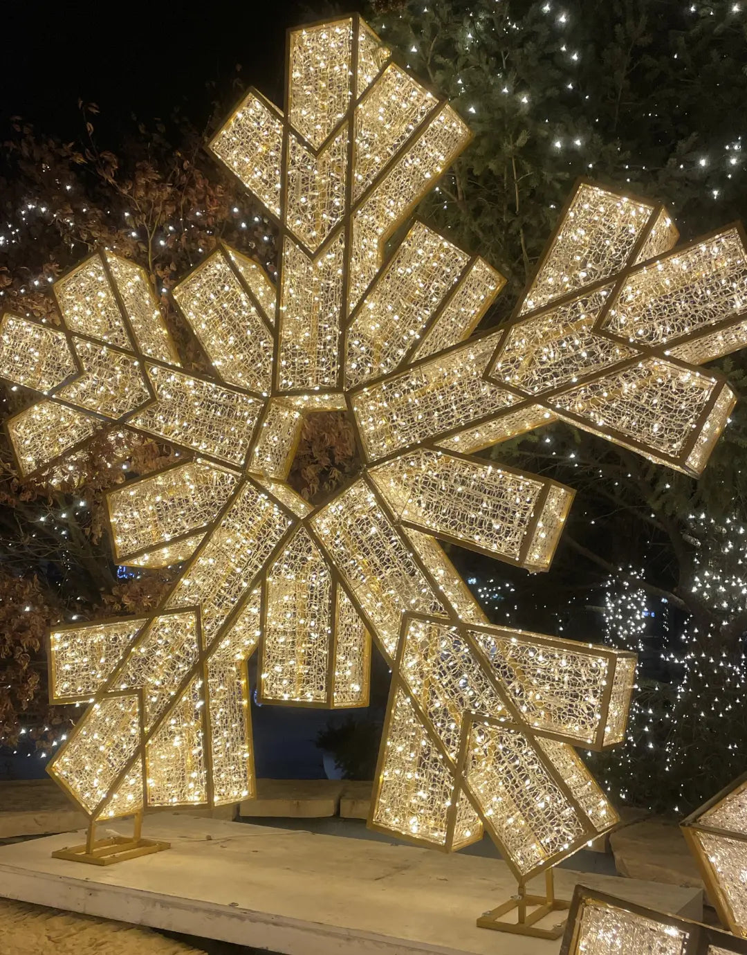 Waterfront Snowflake