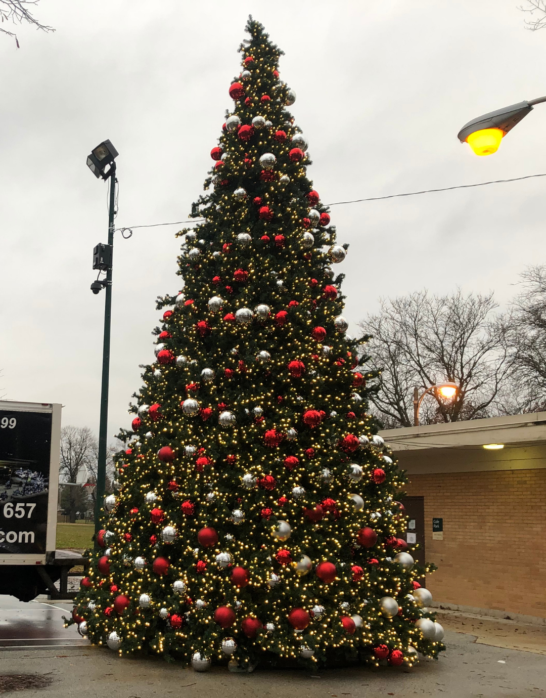30' Tower Tree- LED 5mm Warm White