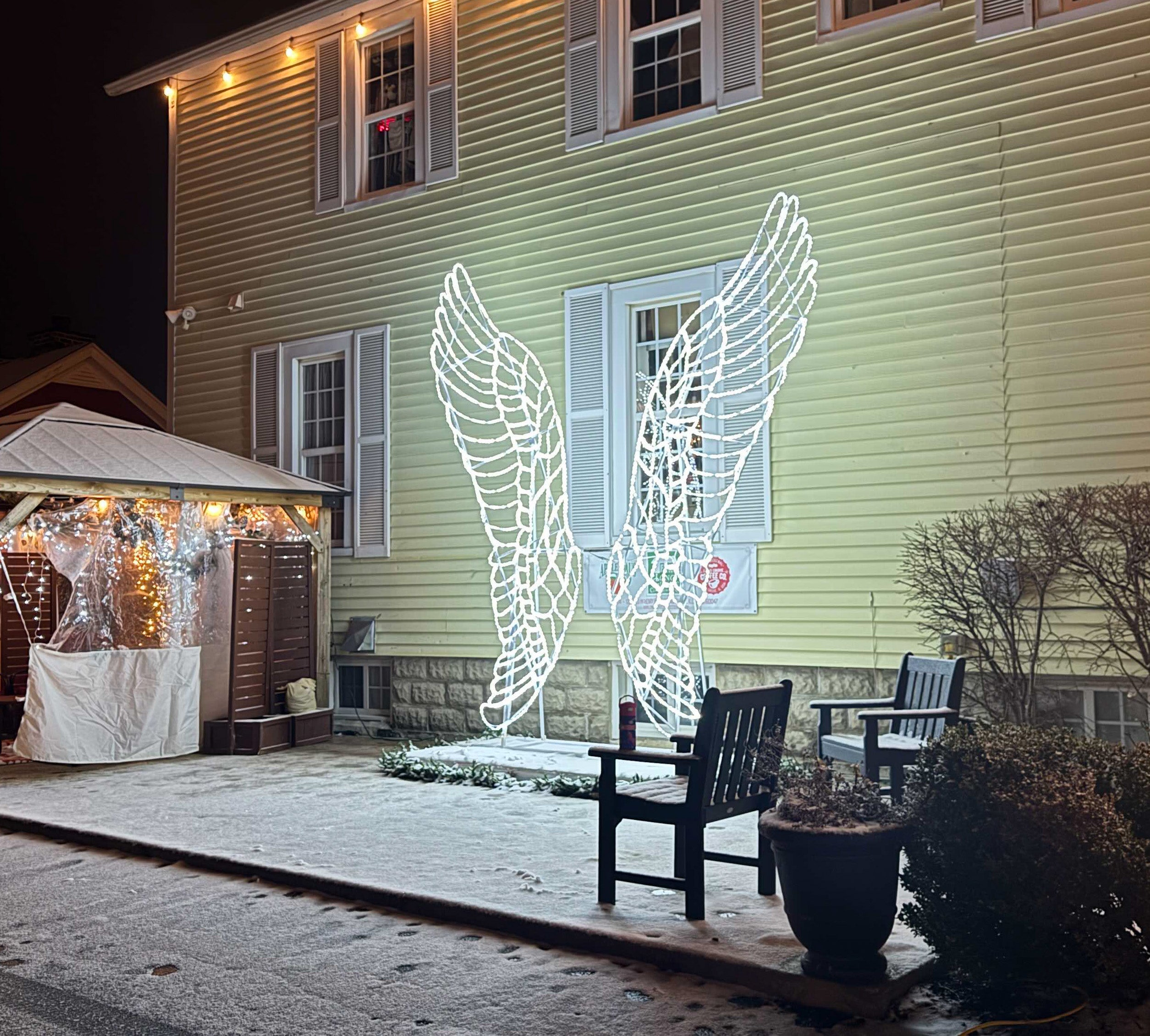 12ft Angel Wings Photo Op
